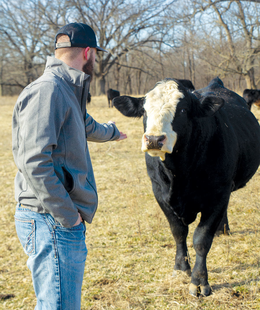 Cooper Black checks on a baldy bull